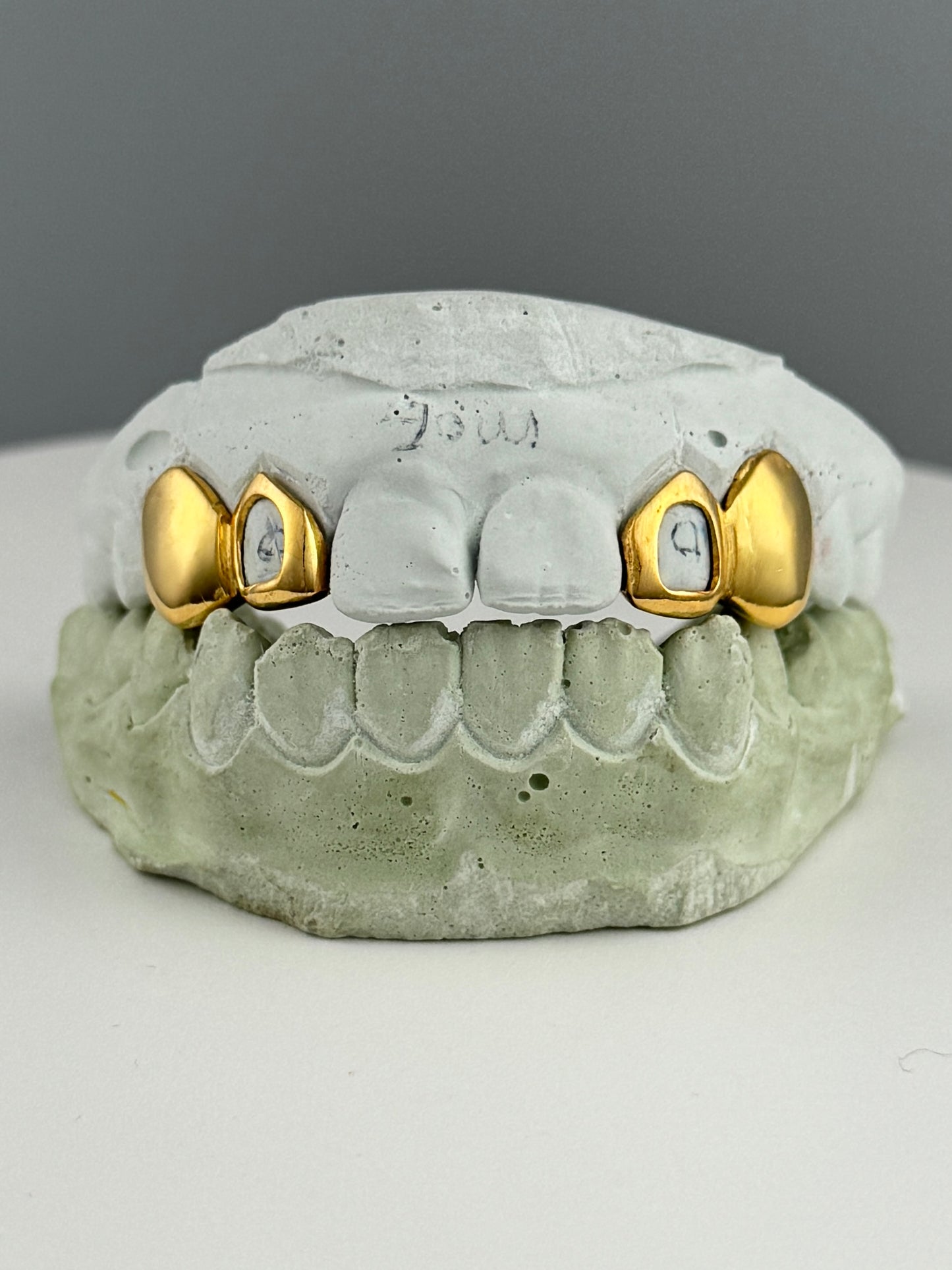 Window + Solid (Incisor + Fang)