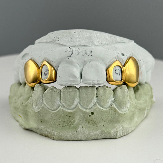 Window + Solid (Incisor + Fang)