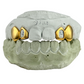 Window + Solid (Incisor + Fang)
