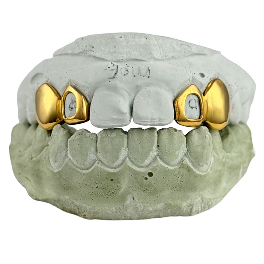 Window + Solid (Incisor + Fang)