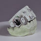 Open Face Diamond Fang + Solid Cap Molar